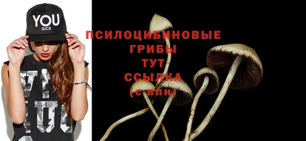 jwh Горняк