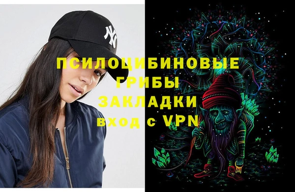 стаф Горно-Алтайск