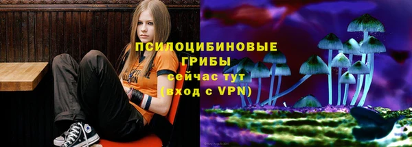 кокаин премиум Горнозаводск
