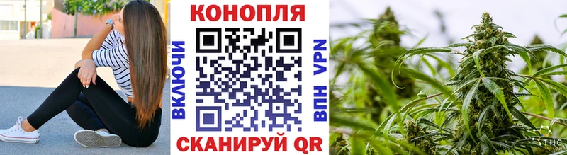 Купить  Октябрьск  Конопля SATIVA & INDICA 
